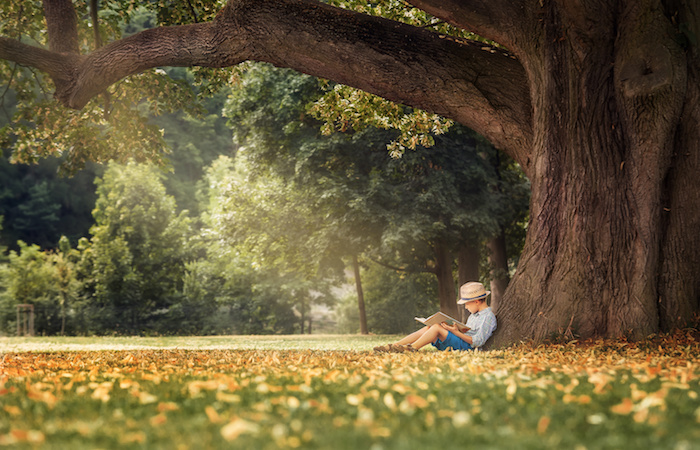 reading a great book under a tree