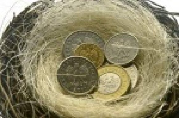 coins in nest