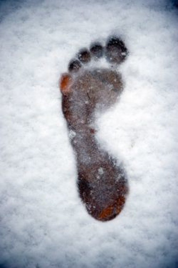 norton big footprint