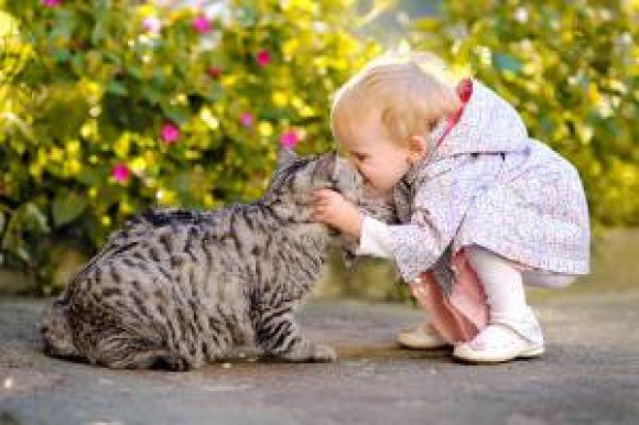 verizon cat toddler
