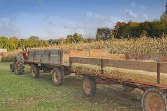 aauto hayride